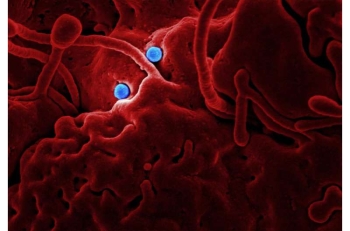 gutbacteria - Credit Unsplash CC0 public domain.jpg
