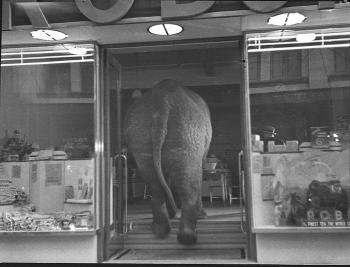 Photo credit: State Library of New South Wales collection via VisualHunt / No known copyright restri