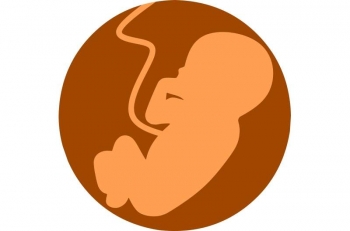 fetus - Credit Pixabay CC0 public domain.jpg