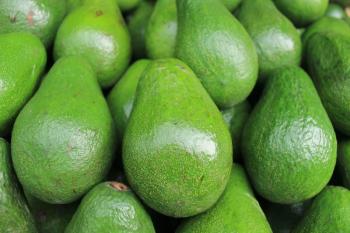 Avocados boost brains