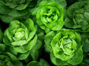 leafy greens