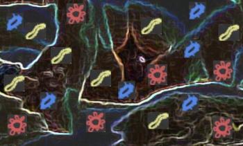 microbiota