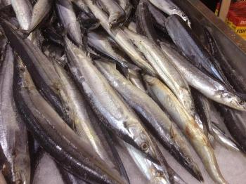 Oily fish