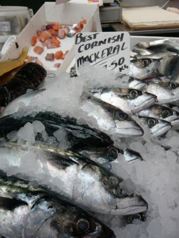Fish