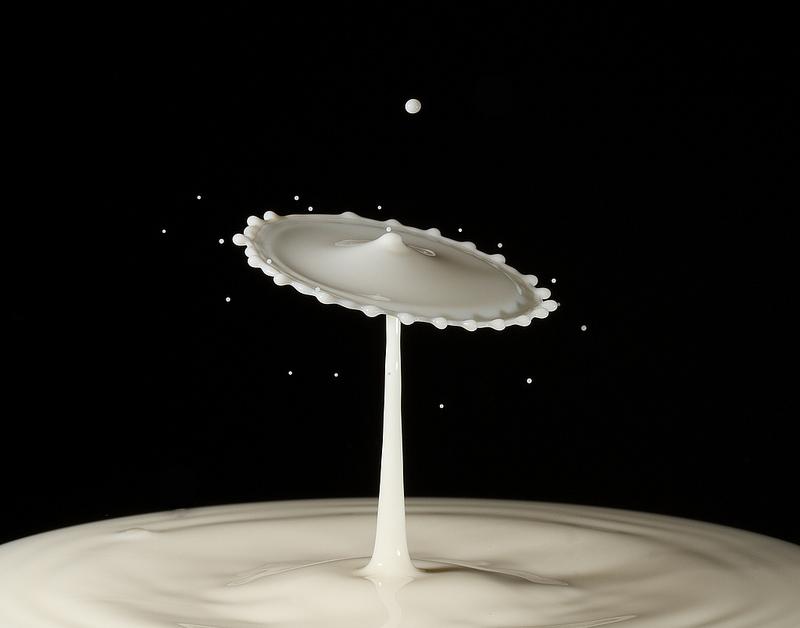 milk