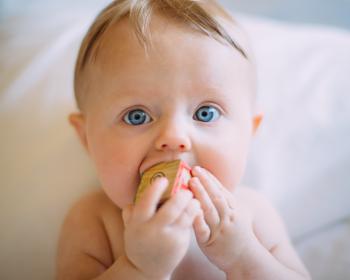 infant gut