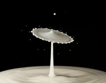 milk