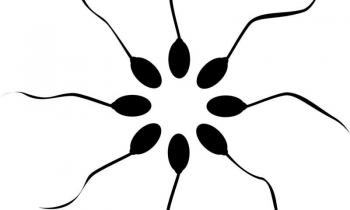 sperm count
