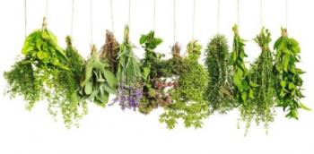 Herbal antioxidants