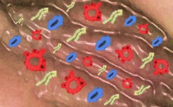 Gut microbiome