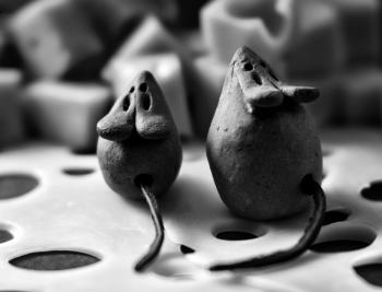 mice