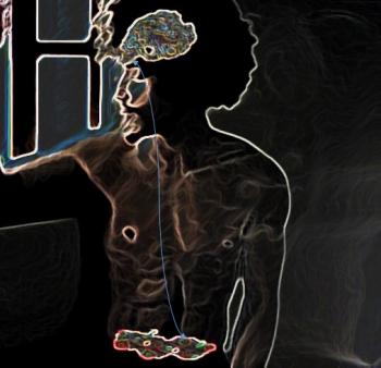 gut-brain axis