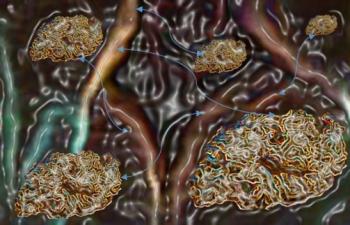 gut-brain axis