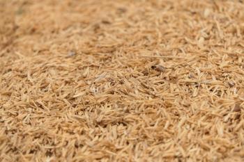 fibre