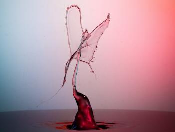 red wine