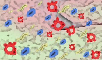 microbiome