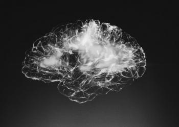 brain photo