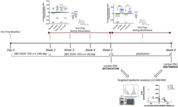Credit: Pharmacological Research (2024). DOI: 10.1016/j.phrs.2024.107462