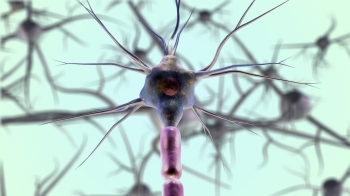 neurons by Pixabay 7079536_1920.jpg