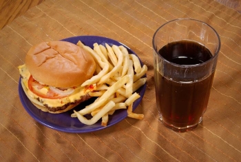 unhealthy food burger frie photo by James Gathany on CDC site