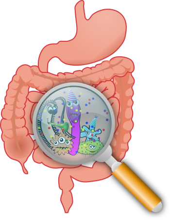 Image by OpenClipart-Vectors from Pixabay