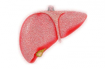 liver-2 - Credit Pixabay CC0 public domain