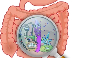 gut microbes - Credit Pixabay CC0 Public domain