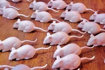 james-wainscoat-rjdd1PBqnXg-unsplash