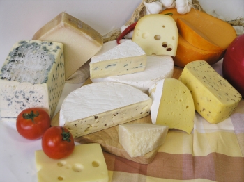 cheese-1-1567602 - Krasimir Argirov - Freeimages