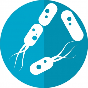 gut-microbiome - Image credit - Pixabay CC0 Public Doman