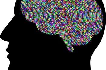 brain-health - Credit Pixabay CC0 public domain.jpg