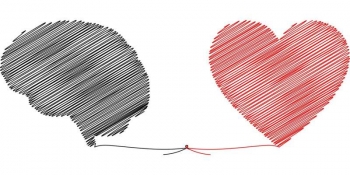 heart-brain - Credit Pixabay CC0 public domain.jpg